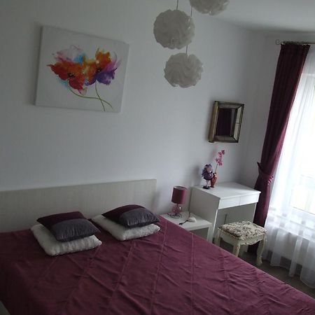 Anca Apartment Braşov Dış mekan fotoğraf