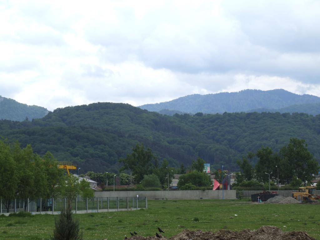 Anca Apartment Braşov Dış mekan fotoğraf