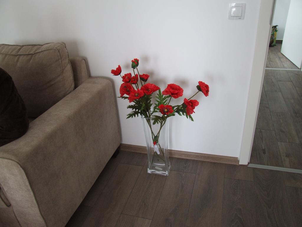 Anca Apartment Braşov Dış mekan fotoğraf