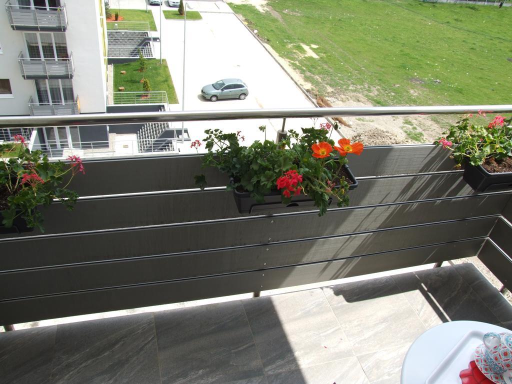 Anca Apartment Braşov Dış mekan fotoğraf
