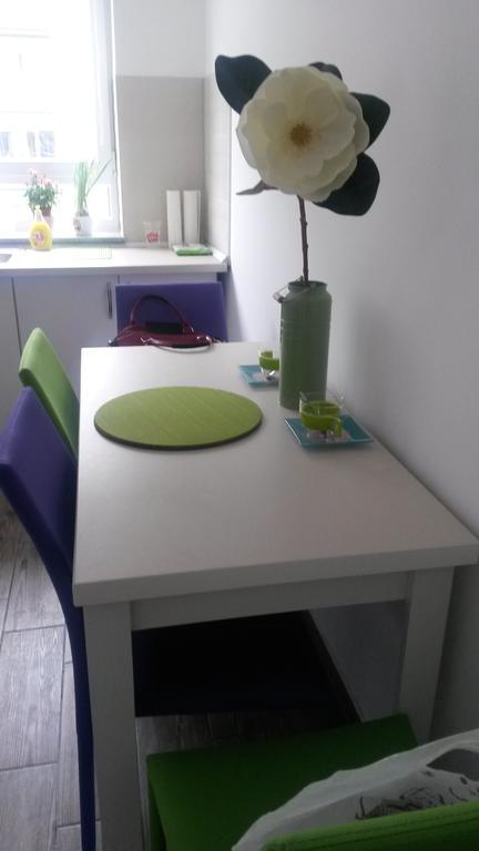Anca Apartment Braşov Dış mekan fotoğraf
